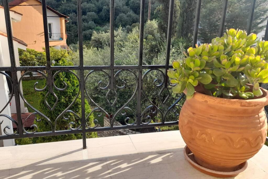 Outparga Apartment 4 エクステリア 写真